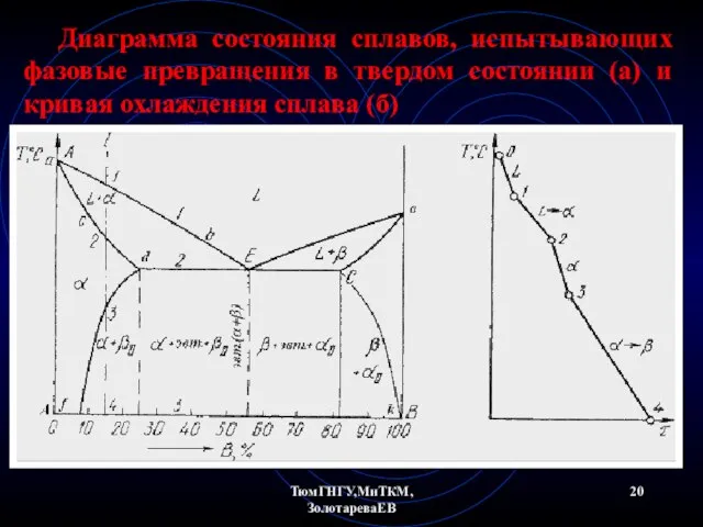 ТюмГНГУ,МиТКМ,ЗолотареваЕВ Диаграмма состояния сплавов, испытывающих фазовые превращения в твердом состоянии (а) и кривая охлаждения сплава (б)