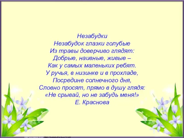 Незабудки Незабудок глазки голубые Из травы доверчиво глядят: Добрые, наивные, живые