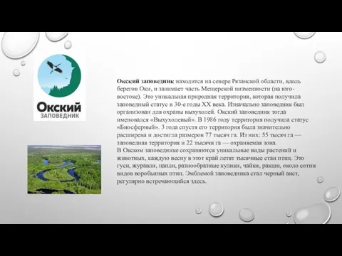 Окский заповедник находится на севере Рязанской области, вдоль берегов Оки, и