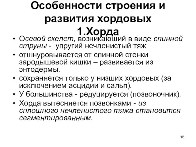 Особенности строения и развития хордовых 1.Хорда Осевой скелет, возникающий в виде