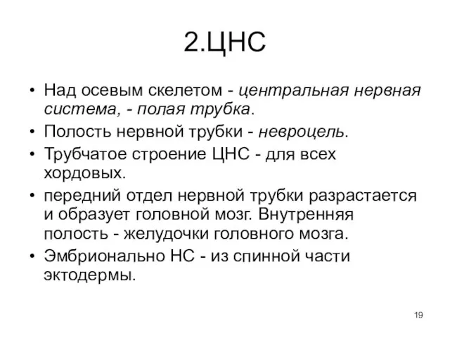 2.ЦНС Над осевым скелетом - центральная нервная система, - полая трубка.