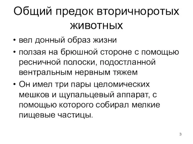 Общий предок вторичноротых животных вел донный образ жизни ползая на брюшной