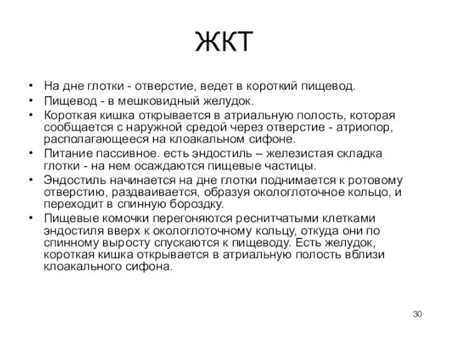 ЖКТ На дне глотки - отверстие, ведет в короткий пищевод. Пищевод