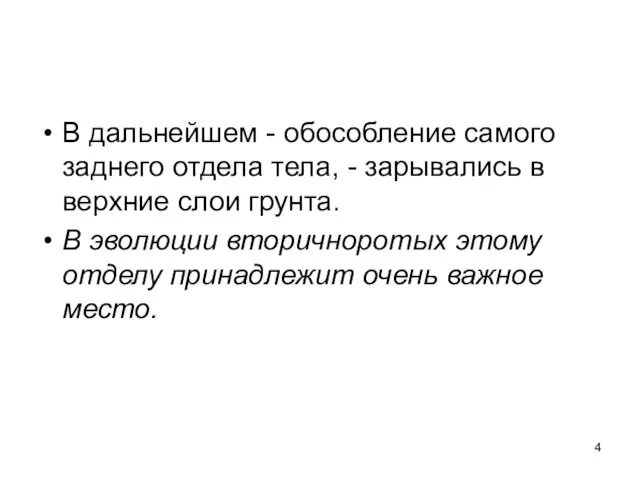 В дальнейшем - обособление самого заднего отдела тела, - зарывались в