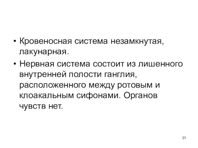 Кровеносная система незамкнутая, лакунарная. Нервная система состоит из лишенного внутренней полости