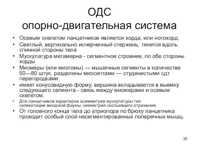 ОДС опорно-двигательная система Осевым скелетом ланцетников является хорда, или нотохорд. Светлый,