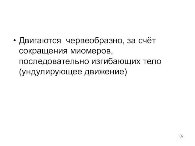 Двигаются червеобразно, за счёт сокращения миомеров, последовательно изгибающих тело (ундулирующее движение)