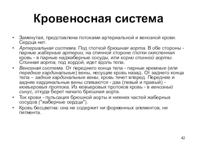 Кровеносная система Замкнутая, представлена потоками артериальной и венозной крови. Сердца нет.