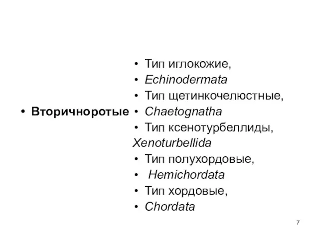 Вторичноротые Тип иглокожие, Echinodermata Тип щетинкочелюстные, Chaetognatha Тип ксенотурбеллиды, Xenoturbellida Тип полухордовые, Hemichordata Тип хордовые, Chordata