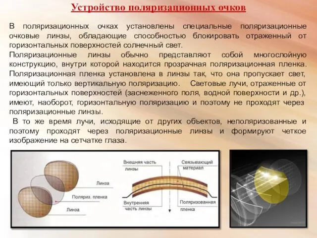 Устройство поляризационных очков В поляризационных очках установлены специальные поляризационные очковые линзы,