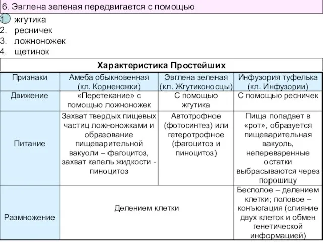 6. Эвглена зеленая передвигается с помощью жгутика ресничек ложноножек щетинок Характеристика Простейших