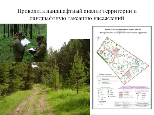 Проводить ландшафтный анализ территории и ландшафтную таксацию насаждений