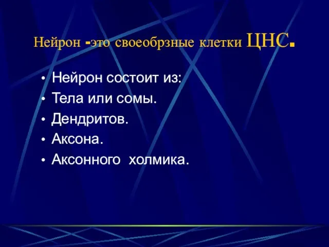 Нейрон -это своеобрзные клетки ЦНС. Нейрон состоит из: Тела или сомы. Дендритов. Аксона. Аксонного холмика.