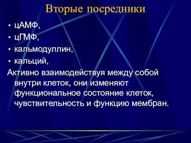 Вторые посредники цАМФ, цГМФ, кальмодуллин, кальций, Активно взаимодействуя между собой внутри