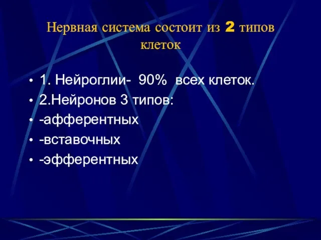 Нервная система состоит из 2 типов клеток 1. Нейроглии- 90% всех