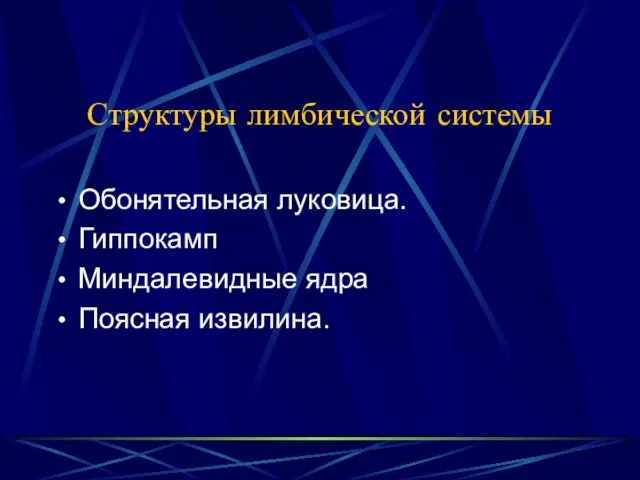 Структуры лимбической системы Обонятельная луковица. Гиппокамп Миндалевидные ядра Поясная извилина.