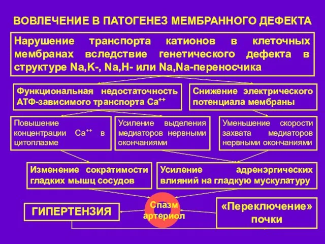 ВОВЛЕЧЕНИЕ В ПАТОГЕНЕЗ МЕМБРАННОГО ДЕФЕКТА Нарушение транспорта катионов в клеточных мембранах