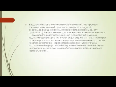 В подкожной клетчатке вблизи внутреннего угла глаза проходят конечные ветви лицевой