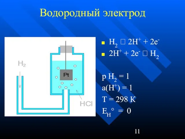 Водородный электрод H2 ⮀ 2H+ + 2e- 2H+ + 2e- ⮀