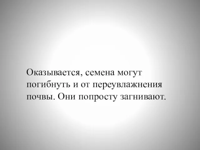 Оказывается, семена могут погибнуть и от переувлажнения почвы. Они попросту загнивают.