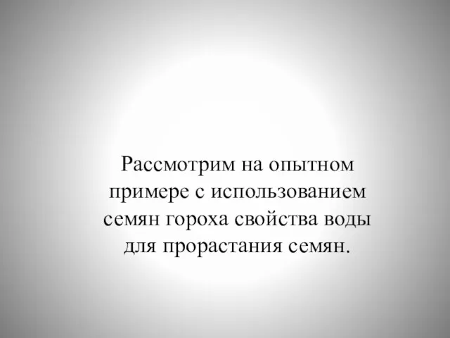 Рассмотрим на опытном примере с использованием семян гороха свойства воды для прорастания семян.