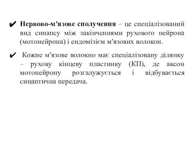 Нервово-м′язове сполучення – це спеціалізований вид синапсу між закінченнями рухового нейрона