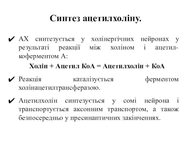 Синтез ацетилхоліну. АХ синтезується у холінергічних нейронах у результаті реакції між