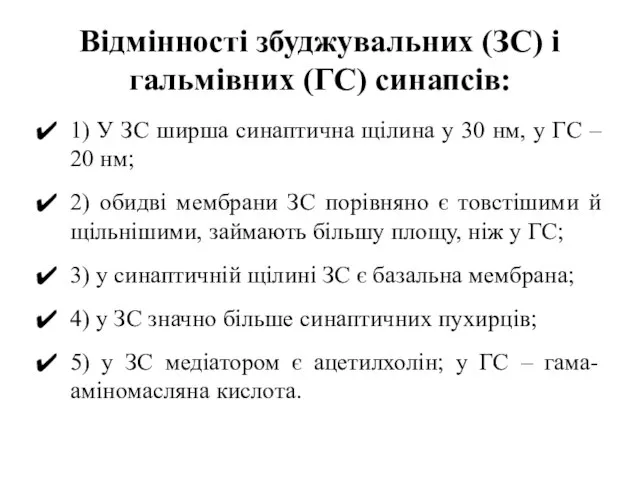 Відмінності збуджувальних (ЗС) і гальмівних (ГС) синапсів: 1) У ЗС ширша