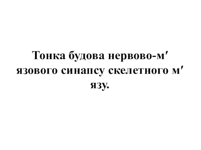 Тонка будова нервово-м′язового синапсу скелетного м′язу.