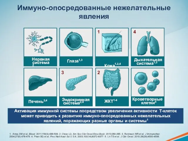 Иммуно-опосредованные нежелательные явления Нервная система2 Дыхательная система1,2 Глаза1,3 Кожа1,2,4 Печень2,4 Кроветворные