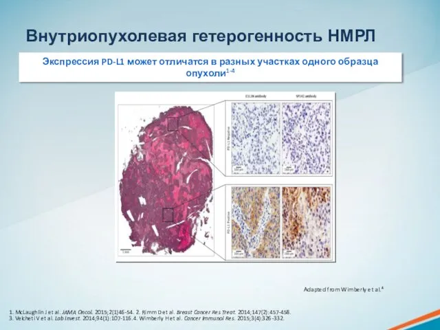 Внутриопухолевая гетерогенность НМРЛ 1. McLaughlin J et al. JAMA Oncol. 2015;2(1)46-54.