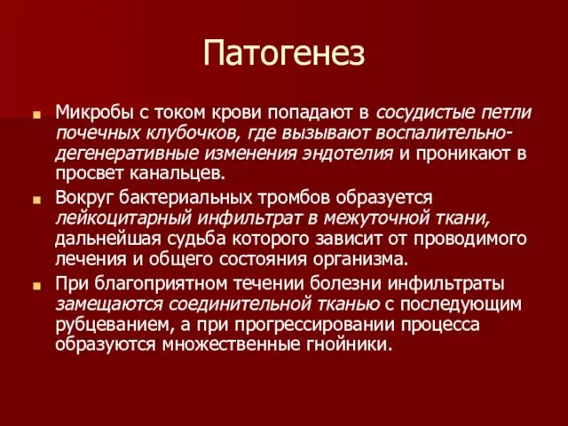 Патогенез Микробы с током крови попадают в сосудистые петли почечных клубочков,