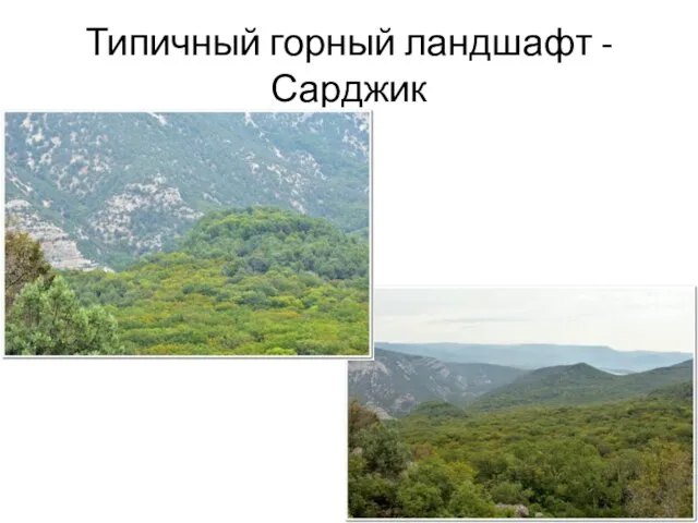 Типичный горный ландшафт - Сарджик