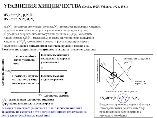 УРАВНЕНИЯ ХИЩНИЧЕСТВА (Lotka, 1925; Volterra, 1926, 1931) dN1/dt=r1N1-p1N1N2, dN2/dt=p2N1N2-d2N2, где N1