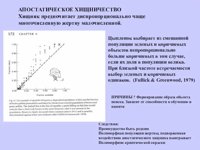 АПОСТАТИЧЕСКОЕ ХИЩНИЧЕСТВО Хищник предпочитает диспропорционально чаще многочисленную жертву малочисленной. Цыпленок выбирает