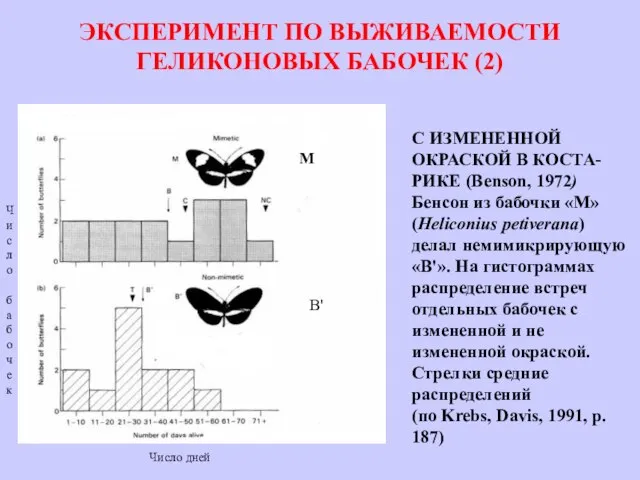 ЭКСПЕРИМЕНТ ПО ВЫЖИВАЕМОСТИ ГЕЛИКОНОВЫХ БАБОЧЕК (2) H petiverana В' Heliconius favorinus