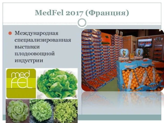 MedFel 2017 (Франция) Международная специализированная выставки плодоовощной индустрии