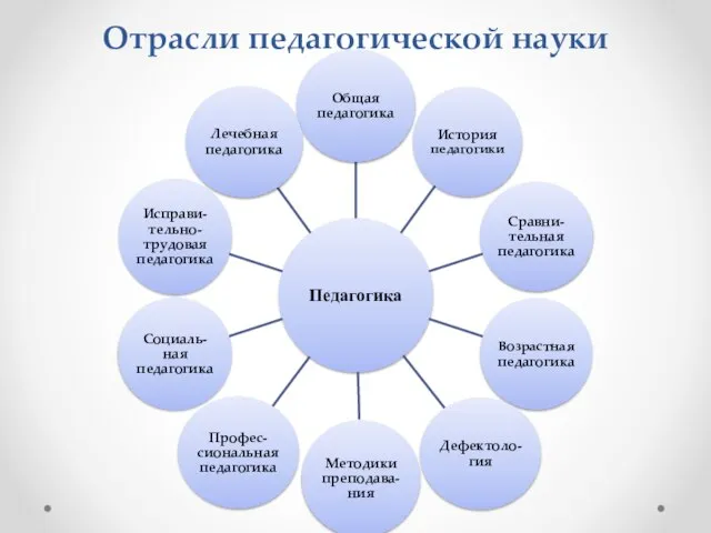 Отрасли педагогической науки