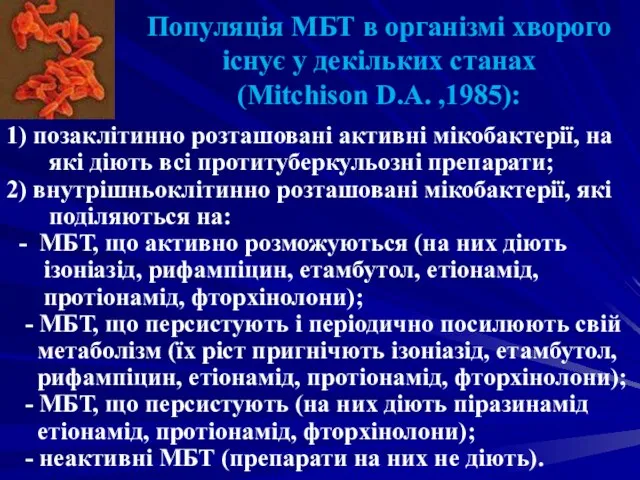 Популяція МБТ в організмі хворого існує у декільких станах (Mitchison D.A.