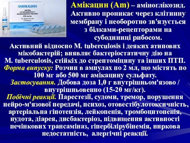 Амікацин (Am) – аміноглікозид. Активно проникає через клітинну мембрану і необоротно