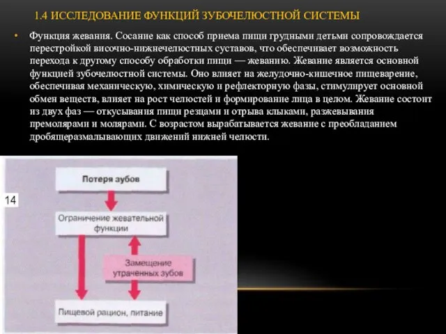 1.4 ИССЛЕДОВАНИЕ ФУНКЦИЙ ЗУБОЧЕЛЮСТНОЙ СИСТЕМЫ Функция жевания. Сосание как способ приема