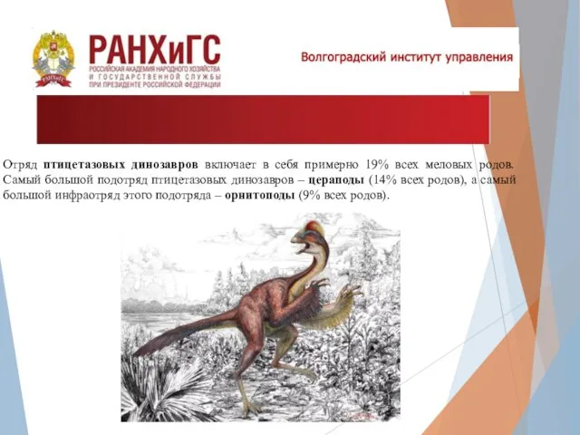 Отряд птицетазовых динозавров включает в себя примерно 19% всех меловых родов.