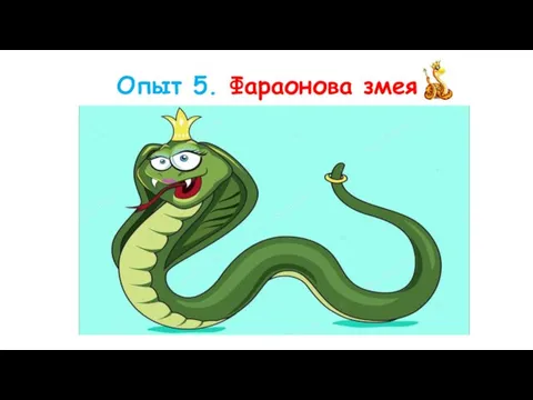 Опыт 5. Фараонова змея