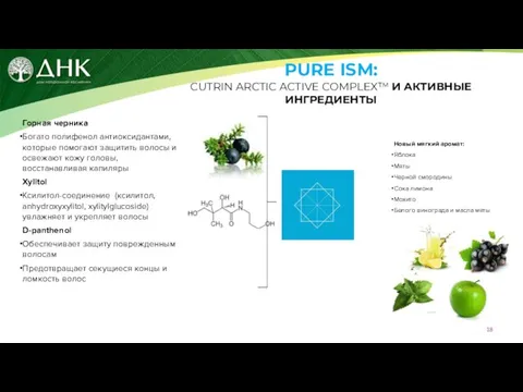 PURE ISM: CUTRIN ARCTIC ACTIVE COMPLEX™ И АКТИВНЫЕ ИНГРЕДИЕНТЫ Горная черника