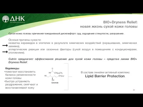 BIO+Dryness Relief: новая жизнь сухой кожи головы Сухая кожа головы причиняет