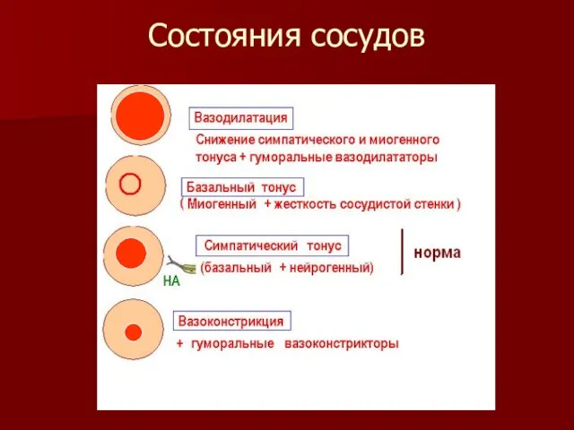 Состояния сосудов