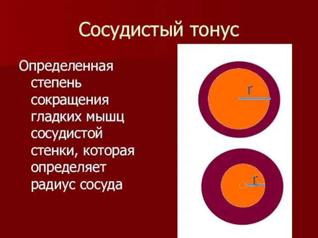 Сосудистый тонус Определенная степень сокращения гладких мышц сосудистой стенки, которая определяет радиус сосуда