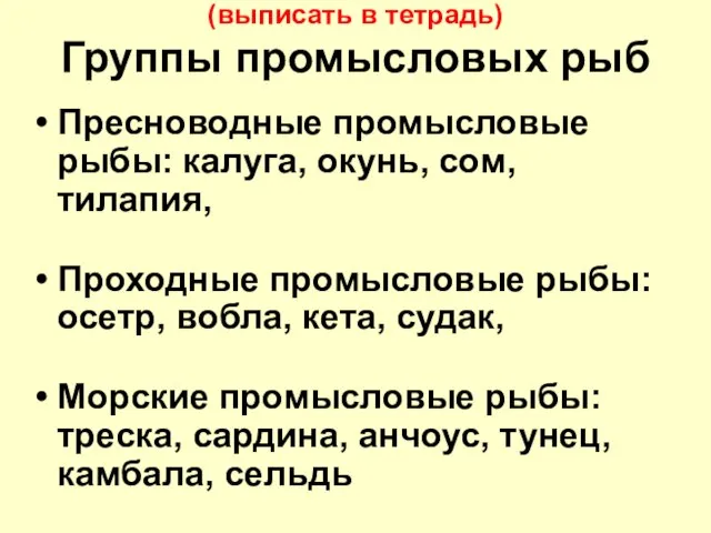 (выписать в тетрадь) Группы промысловых рыб Пресноводные промысловые рыбы: калуга, окунь,