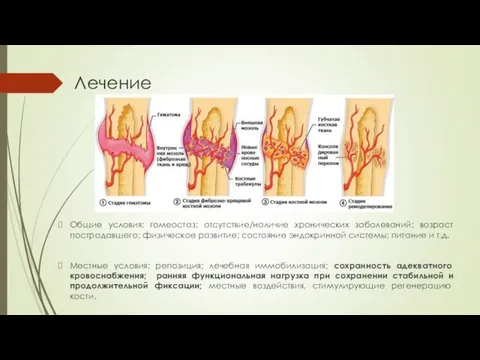 Лечение Общие условия: гомеостаз; отсутствие/наличие хронических заболеваний; возраст пострадавшего; физическое развитие;