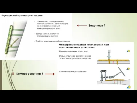 Компрессионная f Защитная f